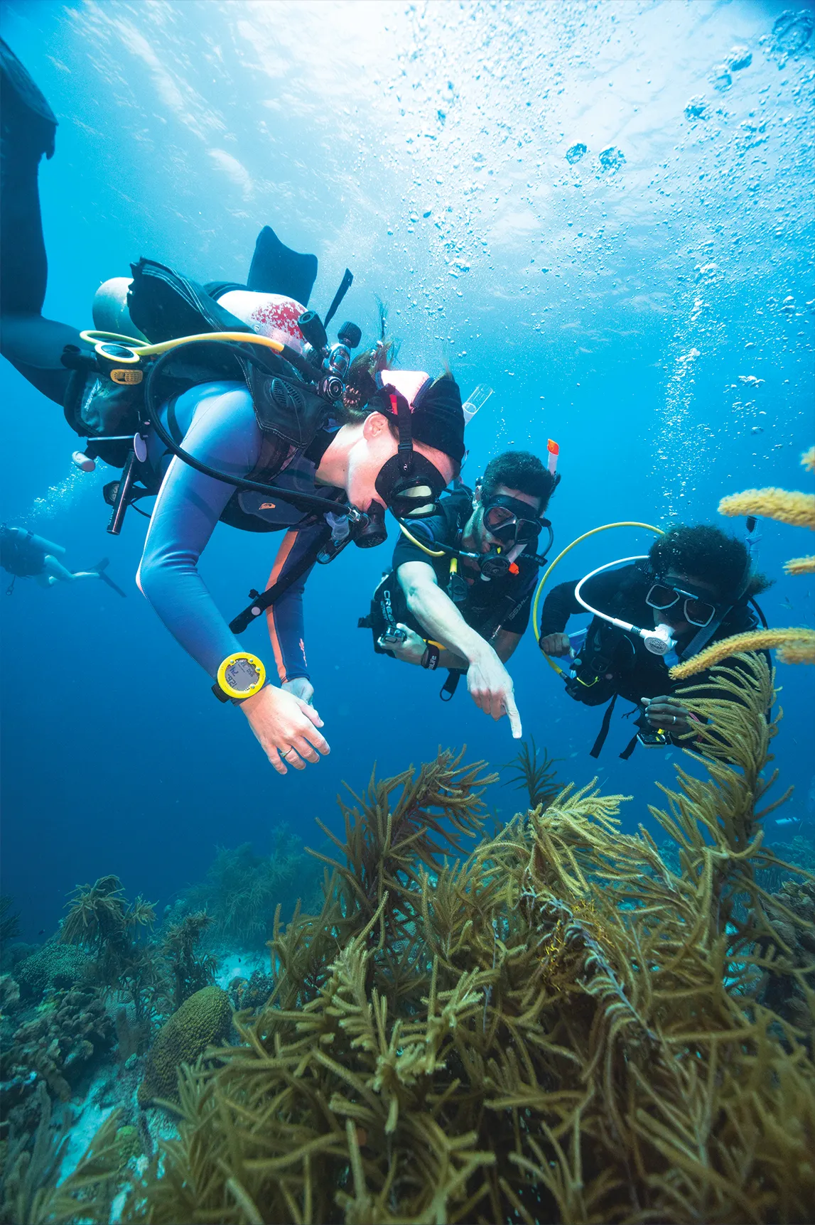 Advanced Open Water course Maldives