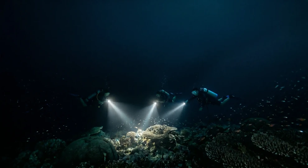 Night Diver course Maldives