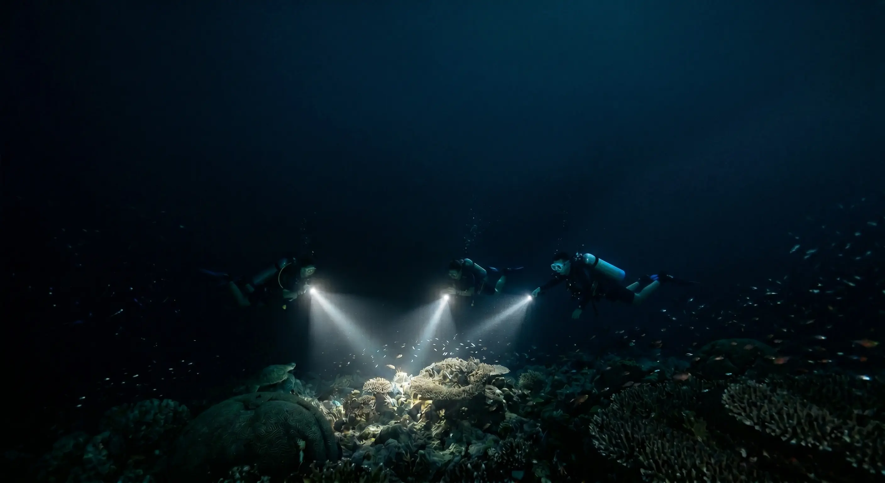 Night Diver course Maldives