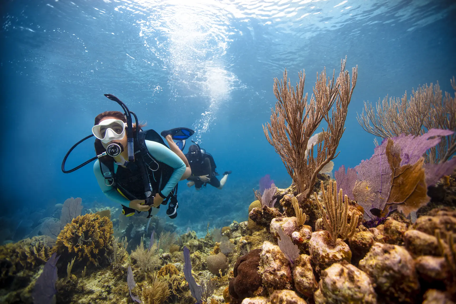 Open Water Diver course Maldives